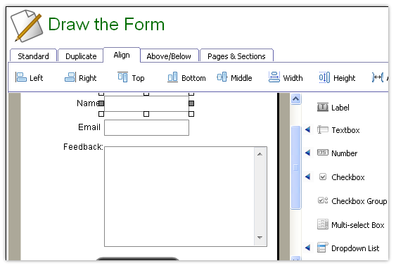 Draw the form page